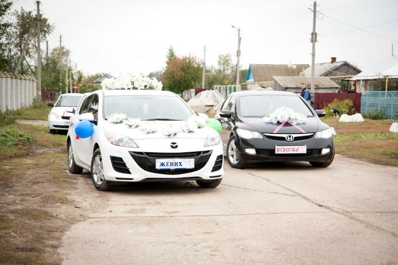 Екатерина Жолудева | Новосибирск