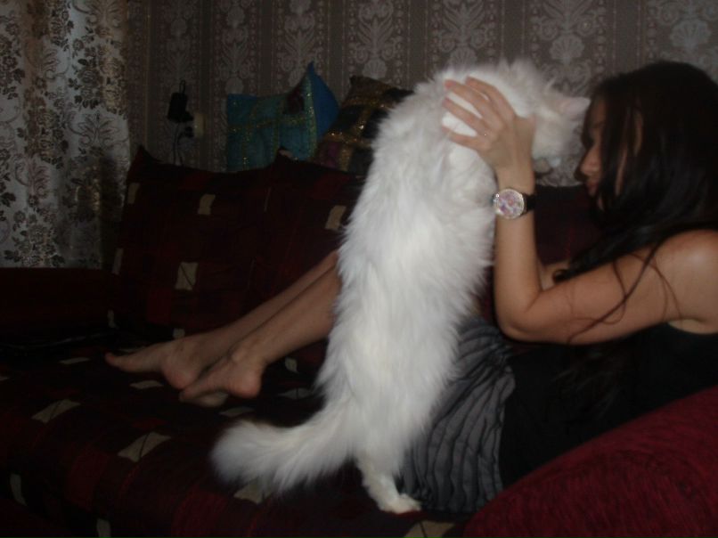 Альбина Шамсутдинова | Ижевск