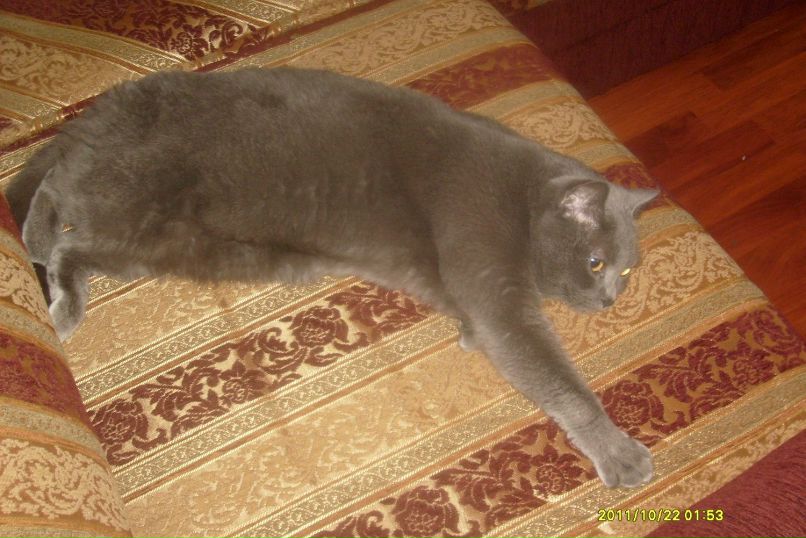 Лёха Очеев | Йошкар-Ола