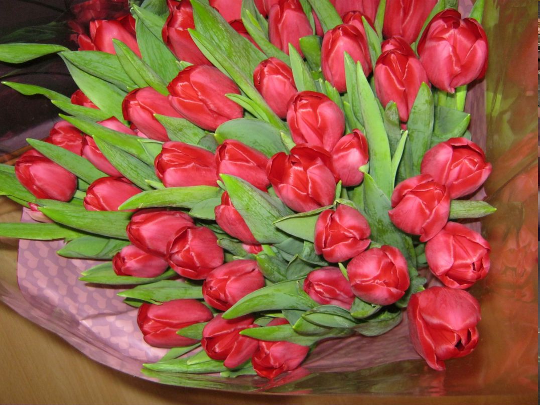 Наталия Савкова | Таллин