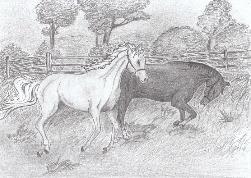 Наталья Куксик | Минск