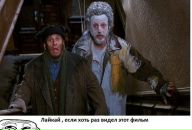 №12, Алина Пискарёва, 28.1