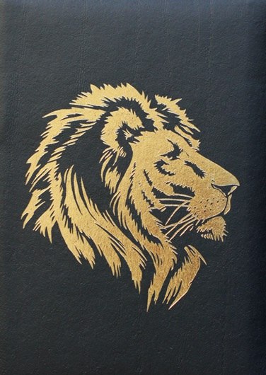 Серёга Бдоян | 