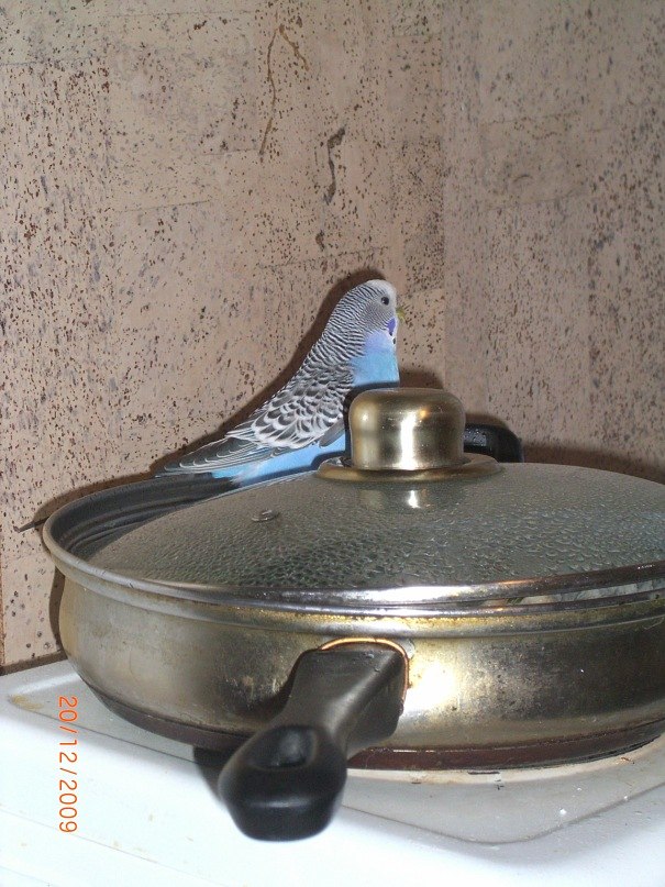 Алёна Федосеева | 