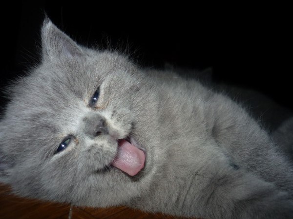 Алексей Ниценко | Харьков