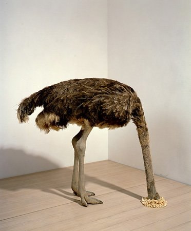 Хельга Долматова | 