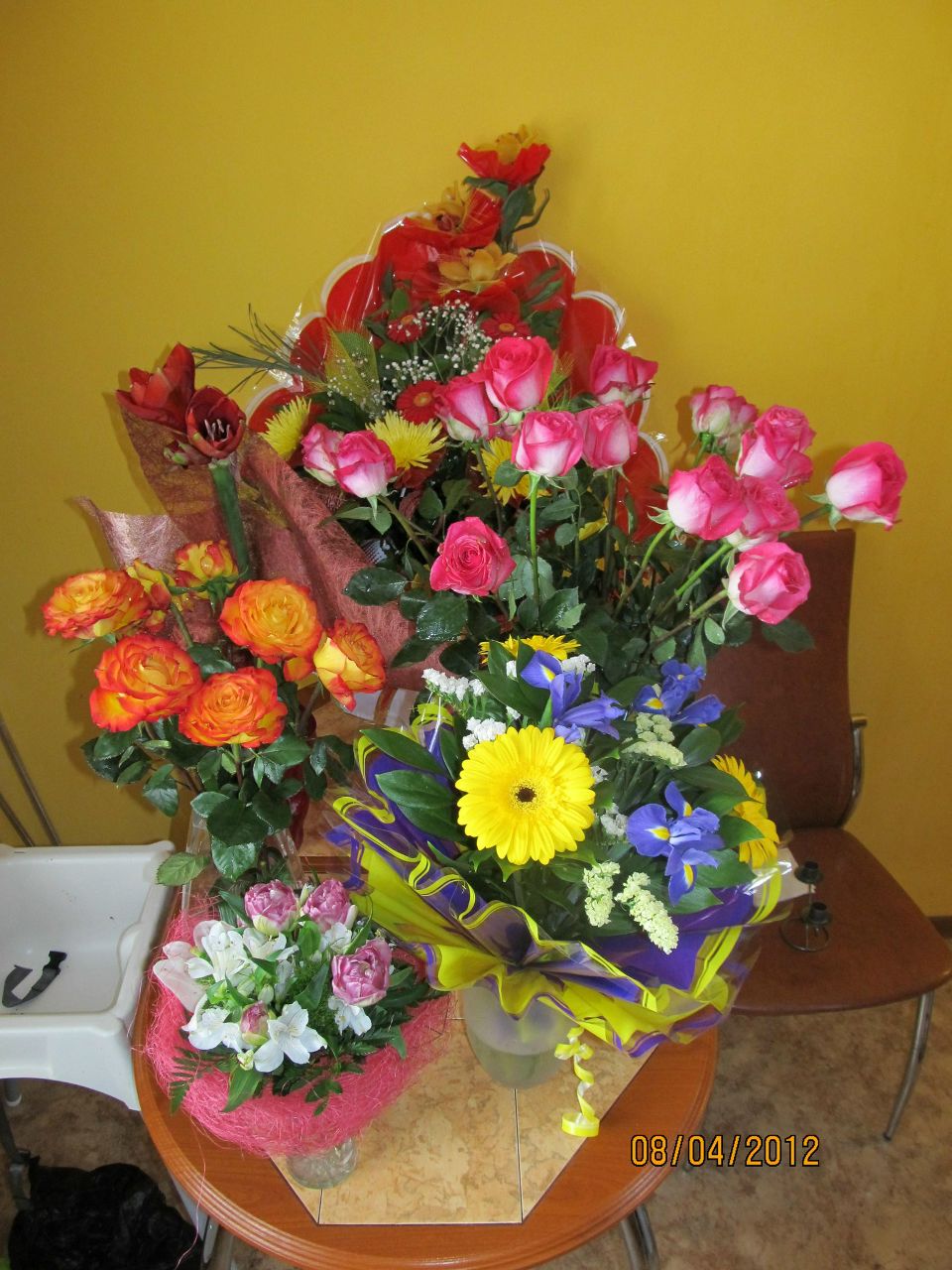 Ксения Модестова | Санкт-Петербург