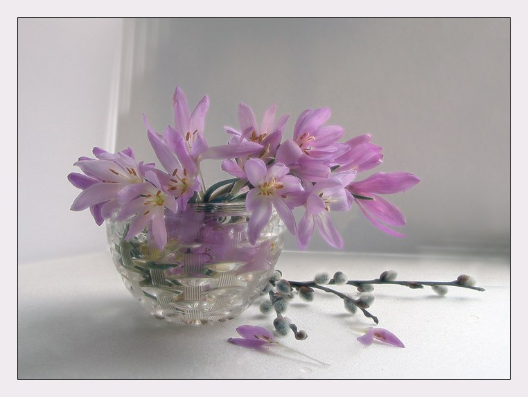 Михаил Семенов | Санкт-Петербург