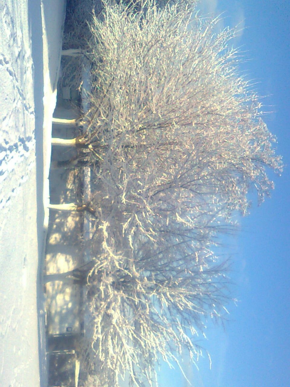 Алексей Прокопович | Керчь