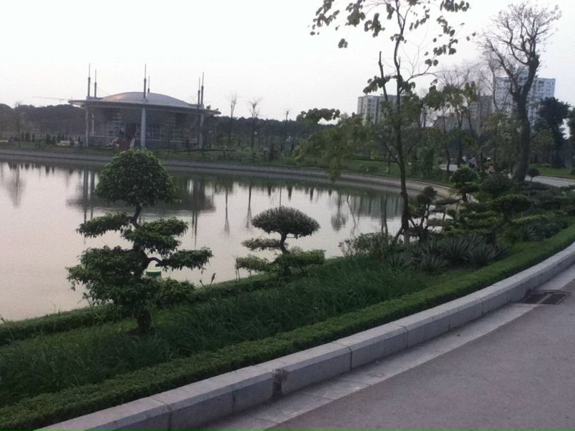 Happy Lily | Vancouver