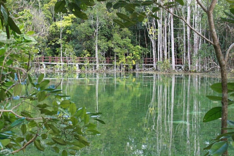 Анна Веселова | Москва