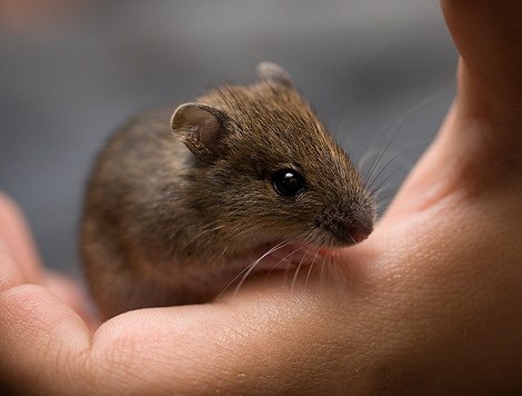 Юлия Воропаева | Одесса