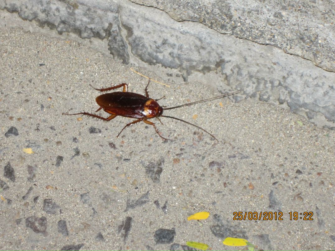 Инна Галиуллина | Казань