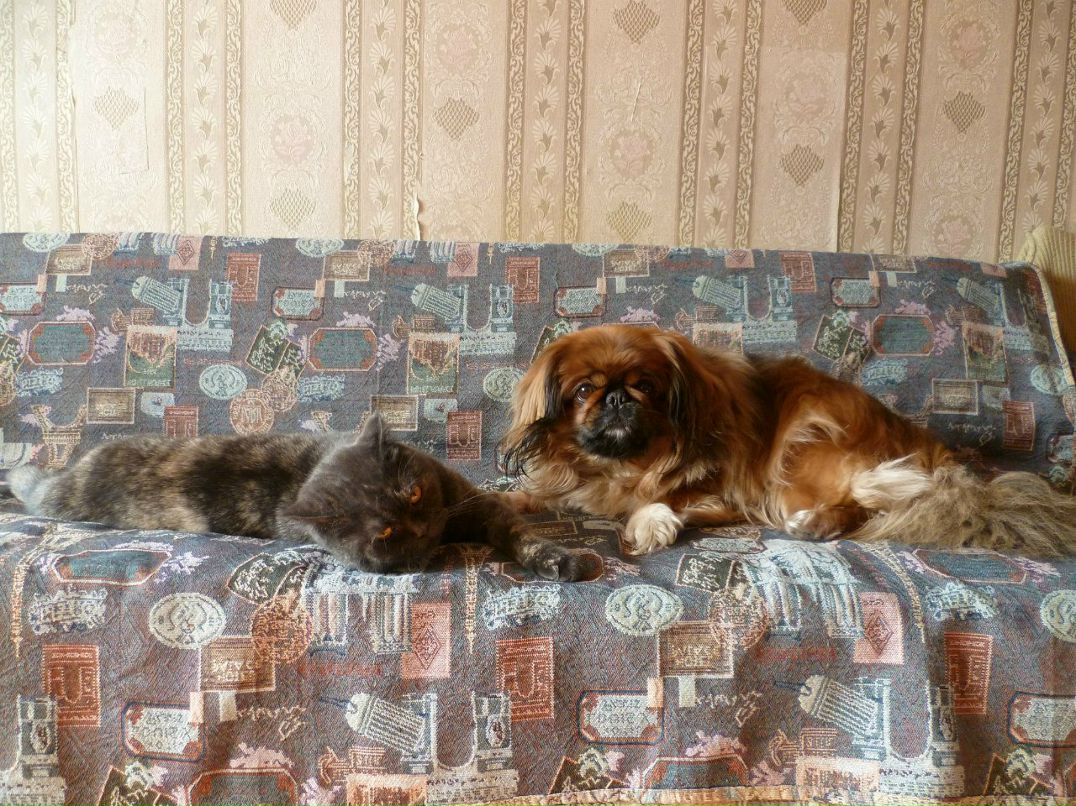 Наташа Невская | Саратов