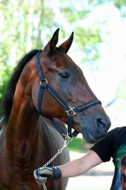 №5, Ирина Бриж №5, Ирина Бриж