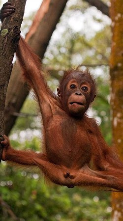 Михаил Кусюкбаев | Нефтекамск