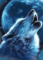 Эльдар Башмаков | Нижний Новгород