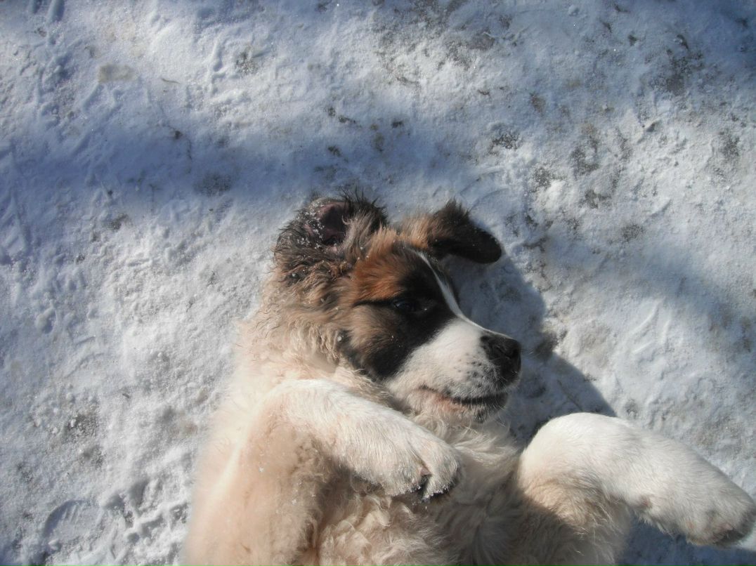 Валерий Разводовский | 