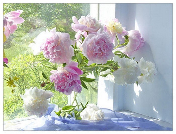 Дмитрий Шортов Дар-Ветер | Нижний Новгород