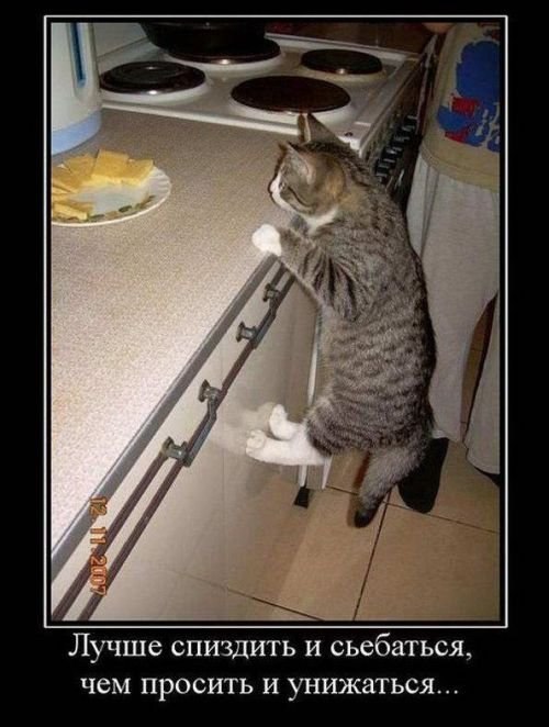 Артем Киселёв | Тольятти