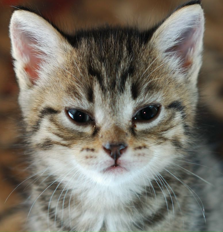 Борис Терпинов | Тюмень