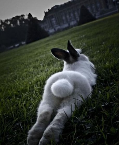 Софія Ратушняк | 