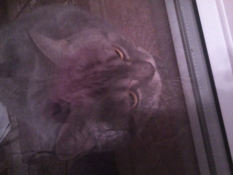 Анна Гайткулова | Запорожье