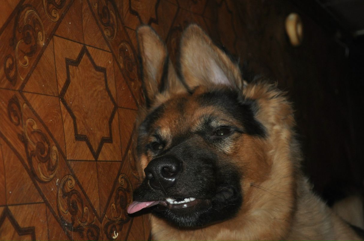 Кирилл Спирин ..IZUM.. | 