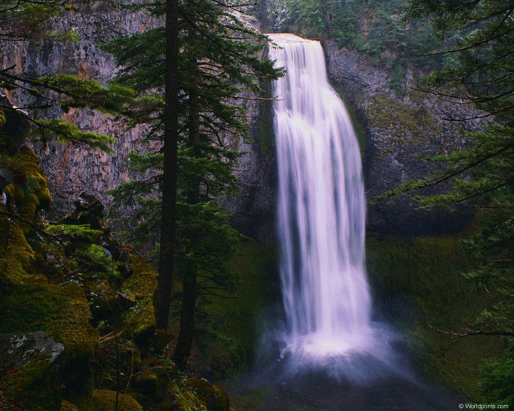 Сергей Бахарев | Лямбирь
