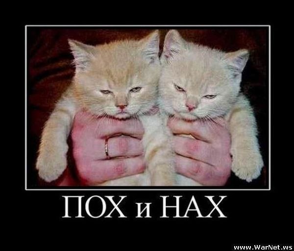 Кирилл Романов | Ревда