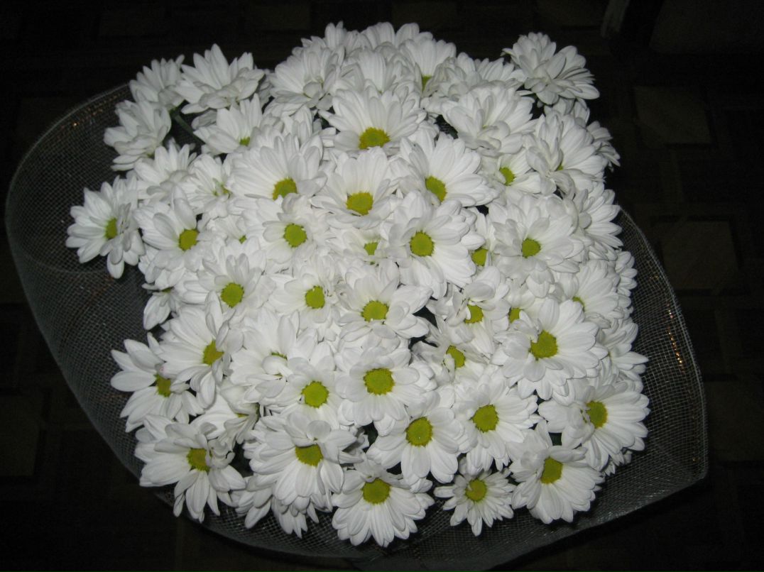 Татьяна Грязева | Бородинский