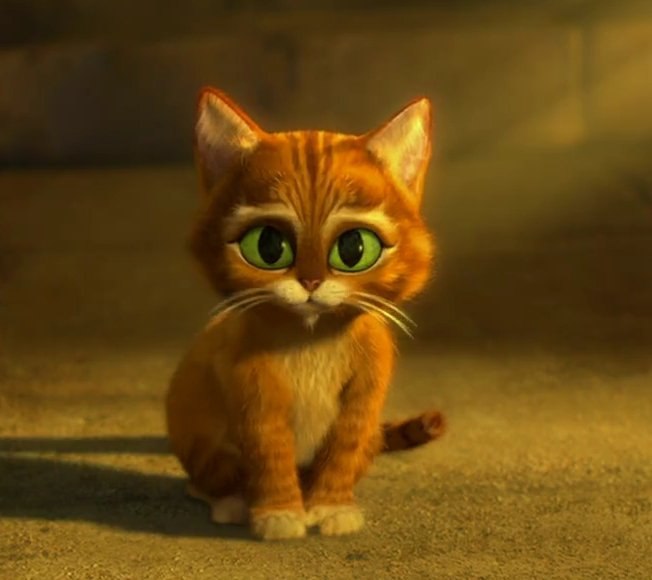 Анастасия Харченко | Владивосток