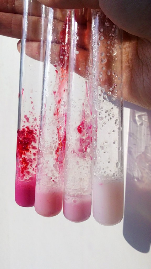 Анастасия Мишина | Москва