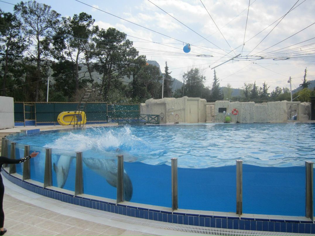 Александр Комаров | Иваново