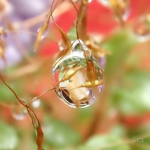 Рэгги Джина | Казань