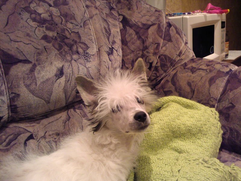 Светлана Дмитриева | Сланцы