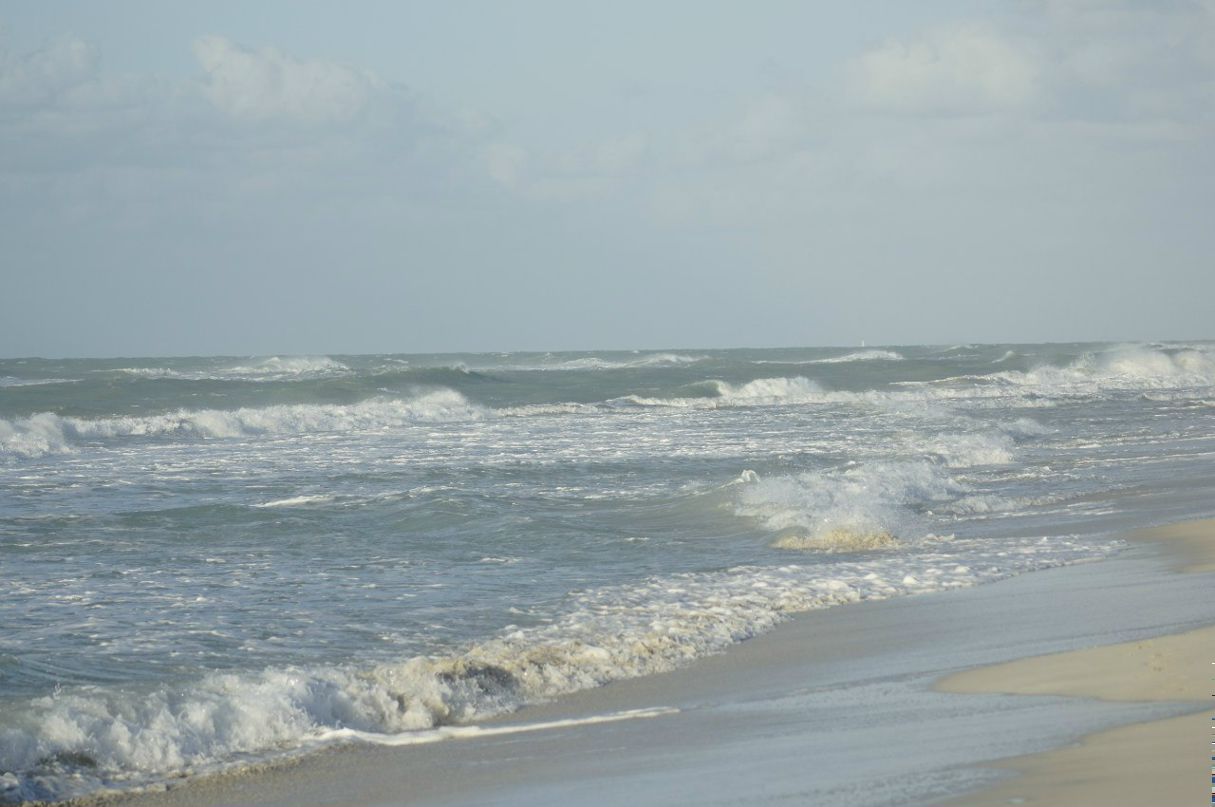 Денис Казанков | Москва