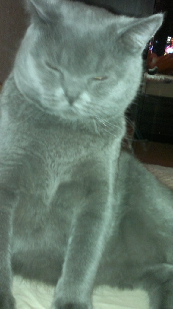 Диана Исламгулова | Уфа