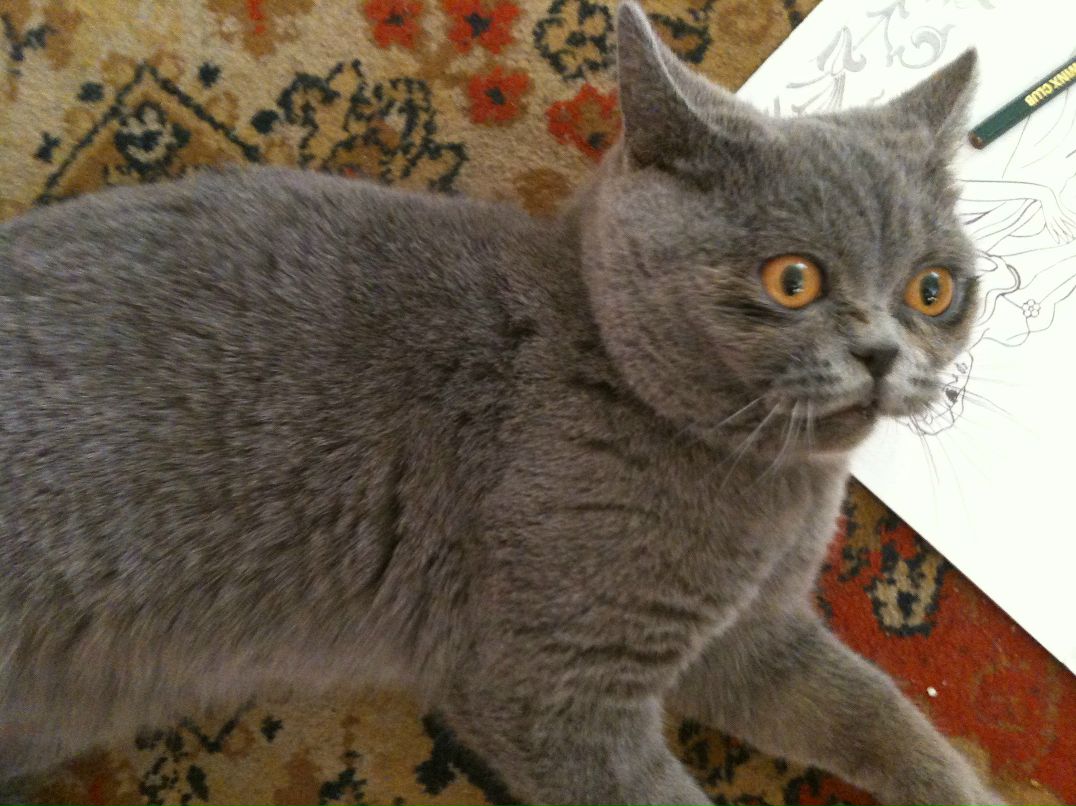 Александр Тресков | 