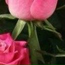 Альбина Гильманова | Уфа