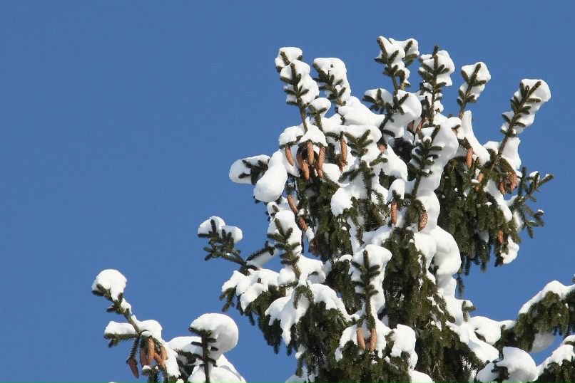 Павел Казаков | Минск