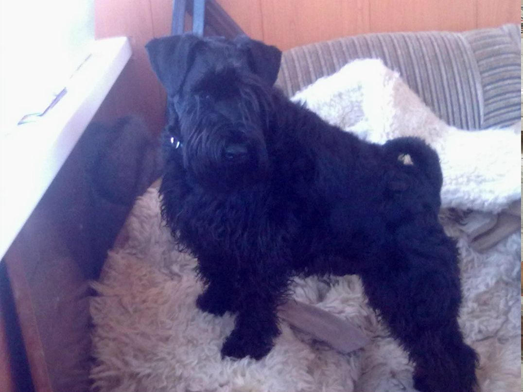 Елена Богданик | Полярные Зори