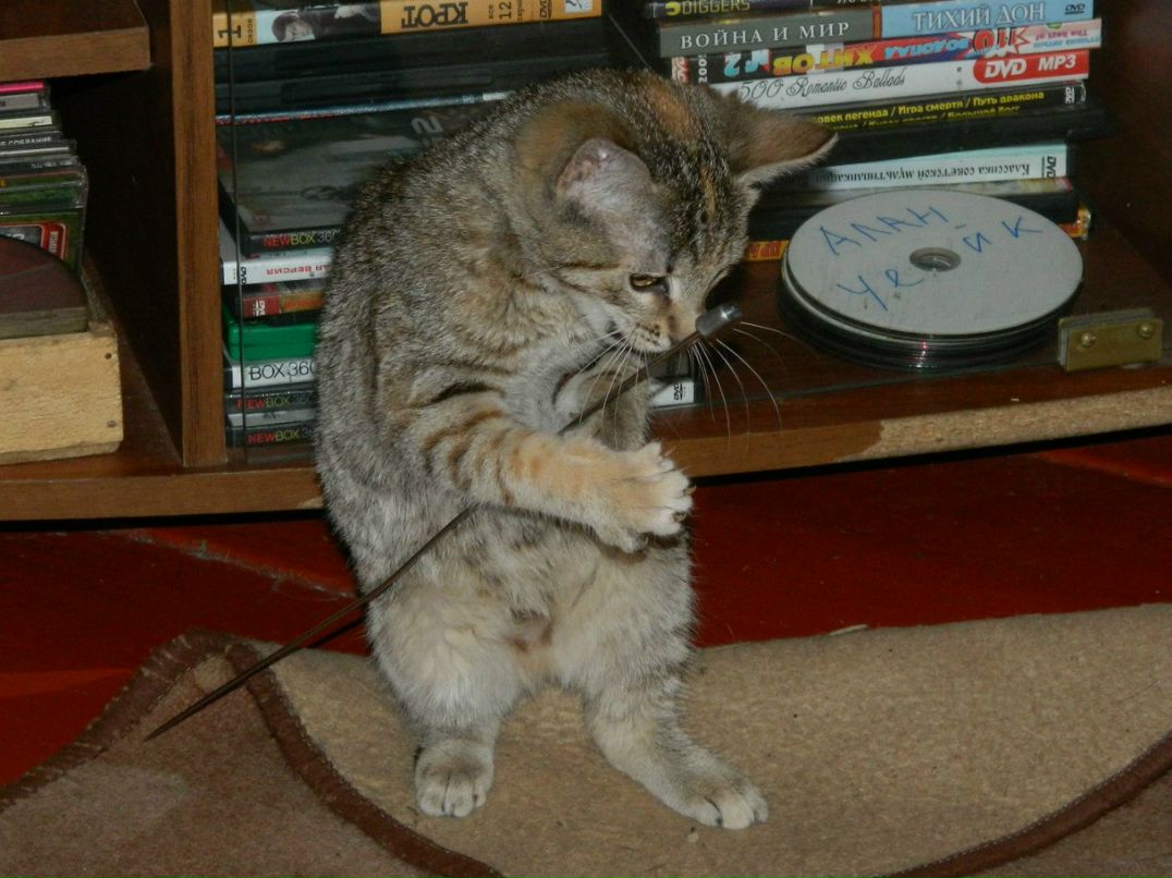 Саня Якимов | Боровенка