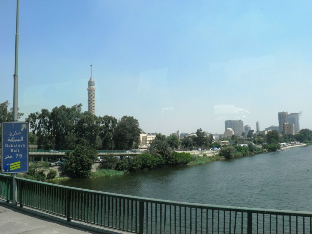 Максим Бердник | Краснознаменск