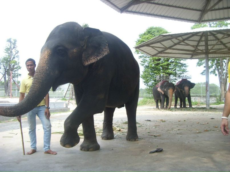 Анастасия Воронина | Москва