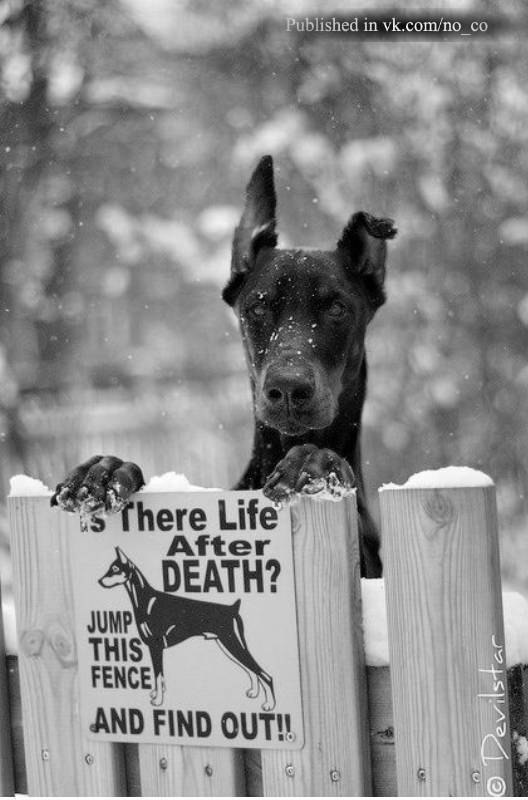 Юнона Юрьевна | Харьков