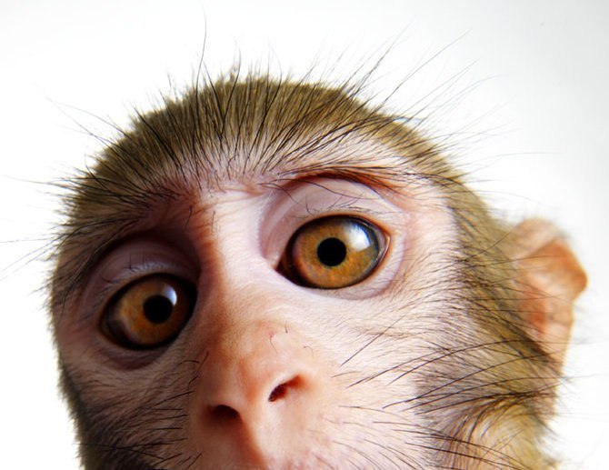 Юра Дзуцев | Санкт-Петербург