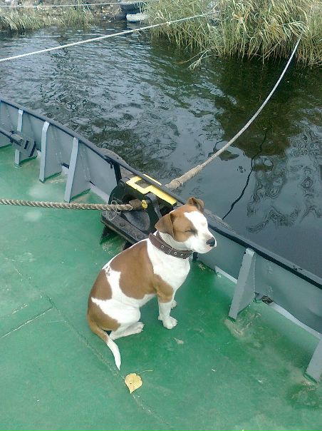 №20, Дмитрий Литвиненко, Херсон №20, Дмитрий Литвиненко, Херсон