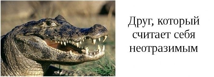 Владислав Зайцев | Южно-Сахалинск