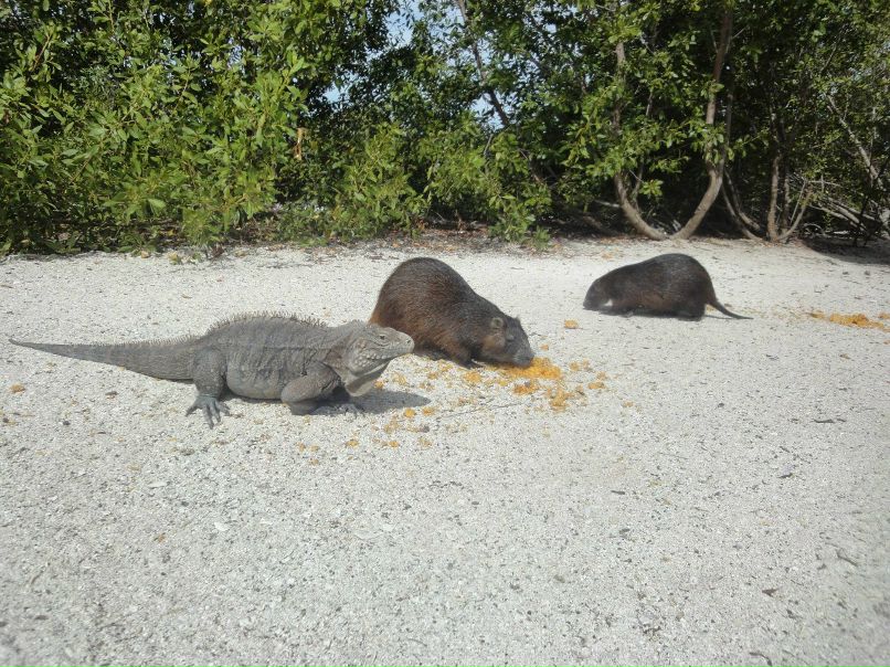 Рома Дашкевич | Мурманск
